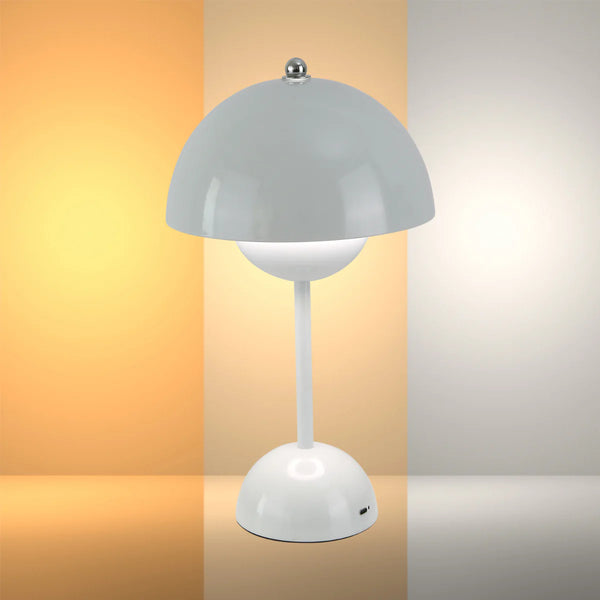 Spherical Harmony LED Table Lamp – Dual-Colour Elegance