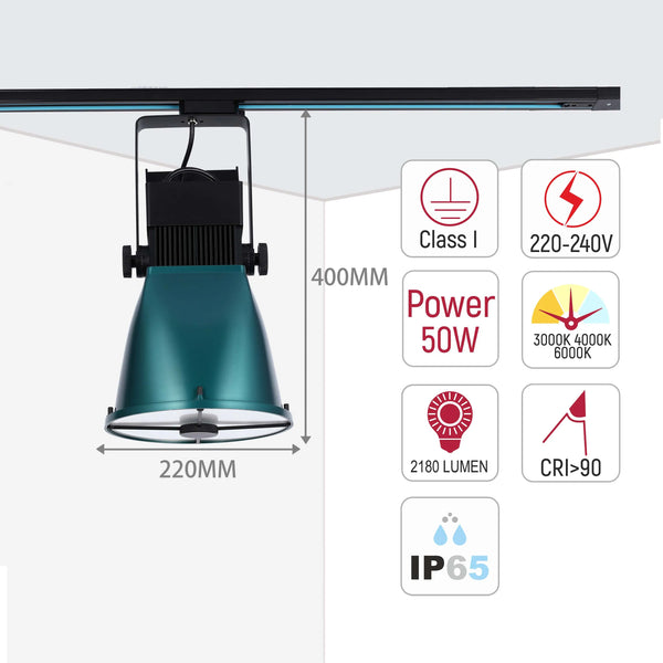 Teal Dome Adjustable LED Track Light